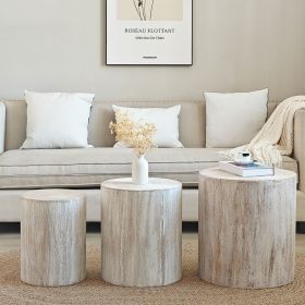 Set of 3 Whitewash Wood Coffee Table with clear and visible tree rings