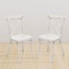 2-Pack Resin X-Back Chair, Dining Chair Furniture 2-Pack, Modern Farmhouse Cross Back Chair for Kitchen,Lime Wash