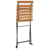 Folding Bistro Chairs 6 pcs Solid Wood Teak and Steel